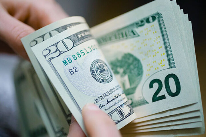 خطای بنیادی کسب وکارها پس از حذف ارز ترجیحی؛ وقتی اصلاح ارزی وضعیت صنعت و معیشت را پیچیدهتر میکند